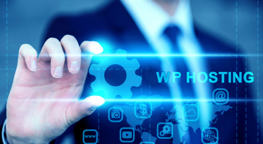 WP Hosting Plan